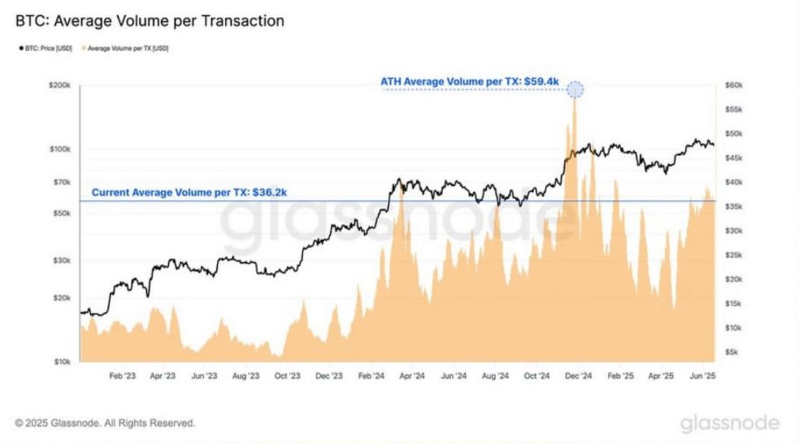 High-Value Bitcoin Investors Dominate Transactions in 2025 